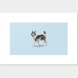 Border Collie Dog Posters and Art